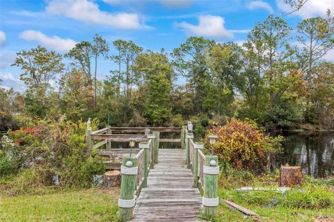 A home in PALM COAST