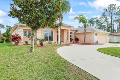 A home in PALM COAST