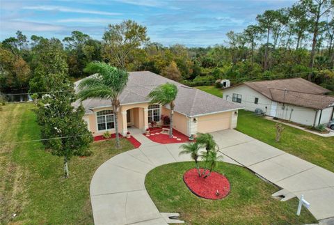 A home in PALM COAST