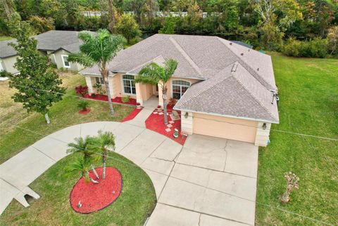 A home in PALM COAST