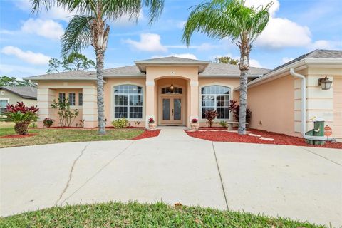 A home in PALM COAST