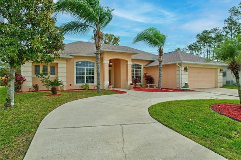 A home in PALM COAST