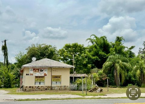 Photo of 800 S Us 301, Summerville, FL 33585 (MLS # S5131738)