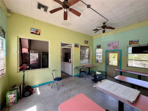 Tiny photo for 800 S Us 301, Summerville, FL 33585 (MLS # S5131738)