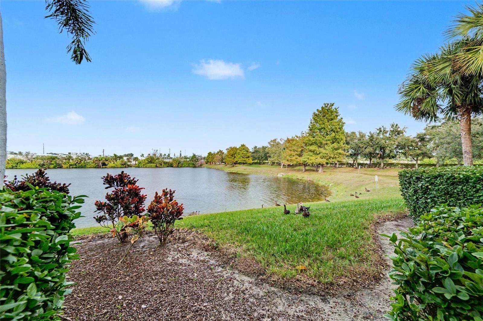 LAKESIDE VILLAGE TOWNHOME - Residential