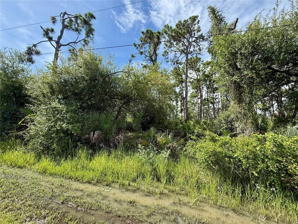 Photo of 13165 Gotham Ave, Port Charlotte, FL 33954 (MLS # C7513401)