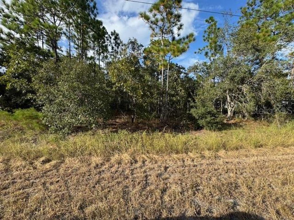 Photo of 0 Telescope Avenue, Weeki Wachee, FL 34613 (MLS # W7879590)