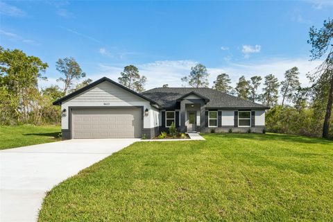 9412 NODDY TERN ROAD WEEKI WACHEE FL 34613