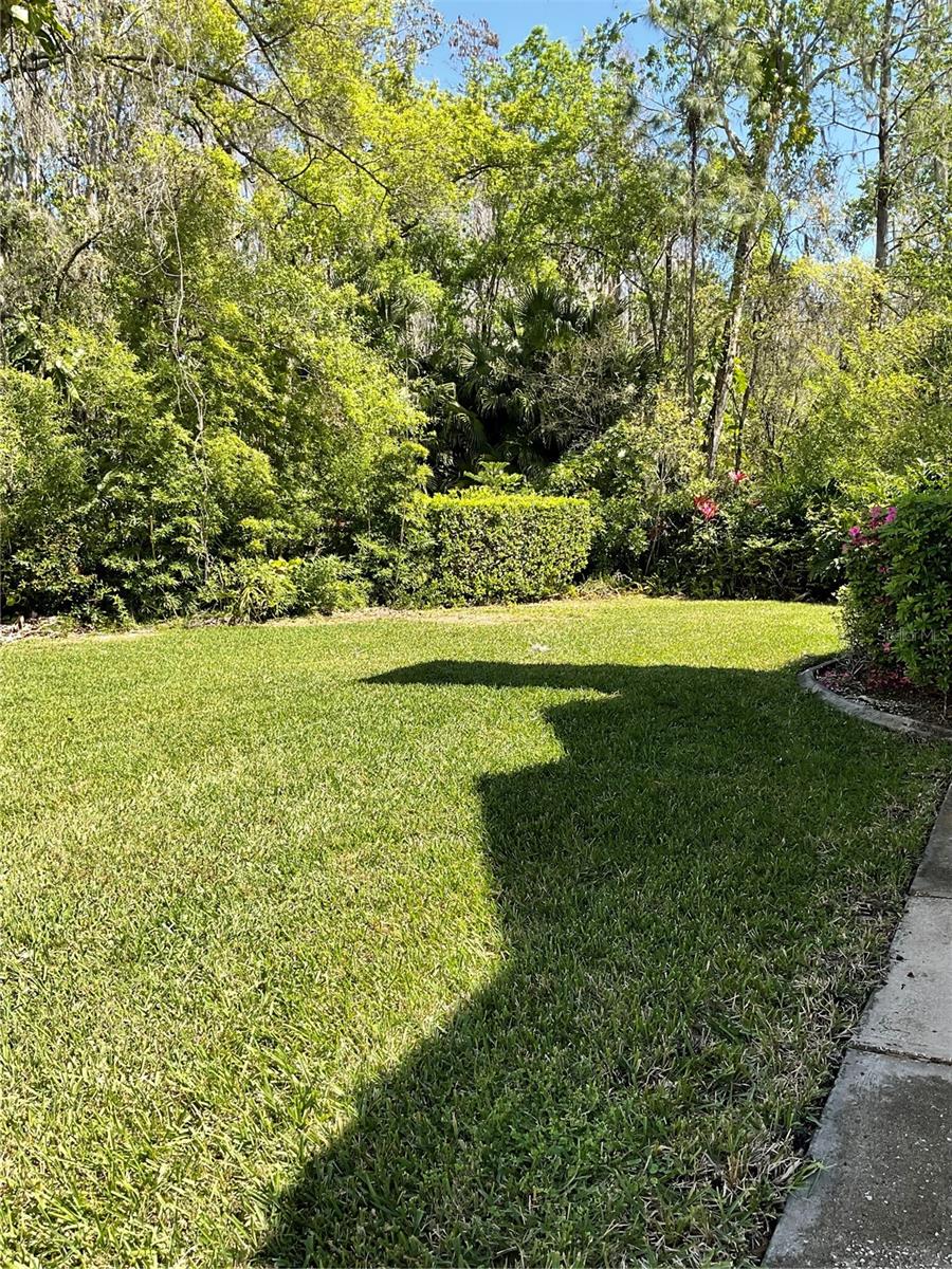 PINE GROVE CONDO AT BLOO - Residential