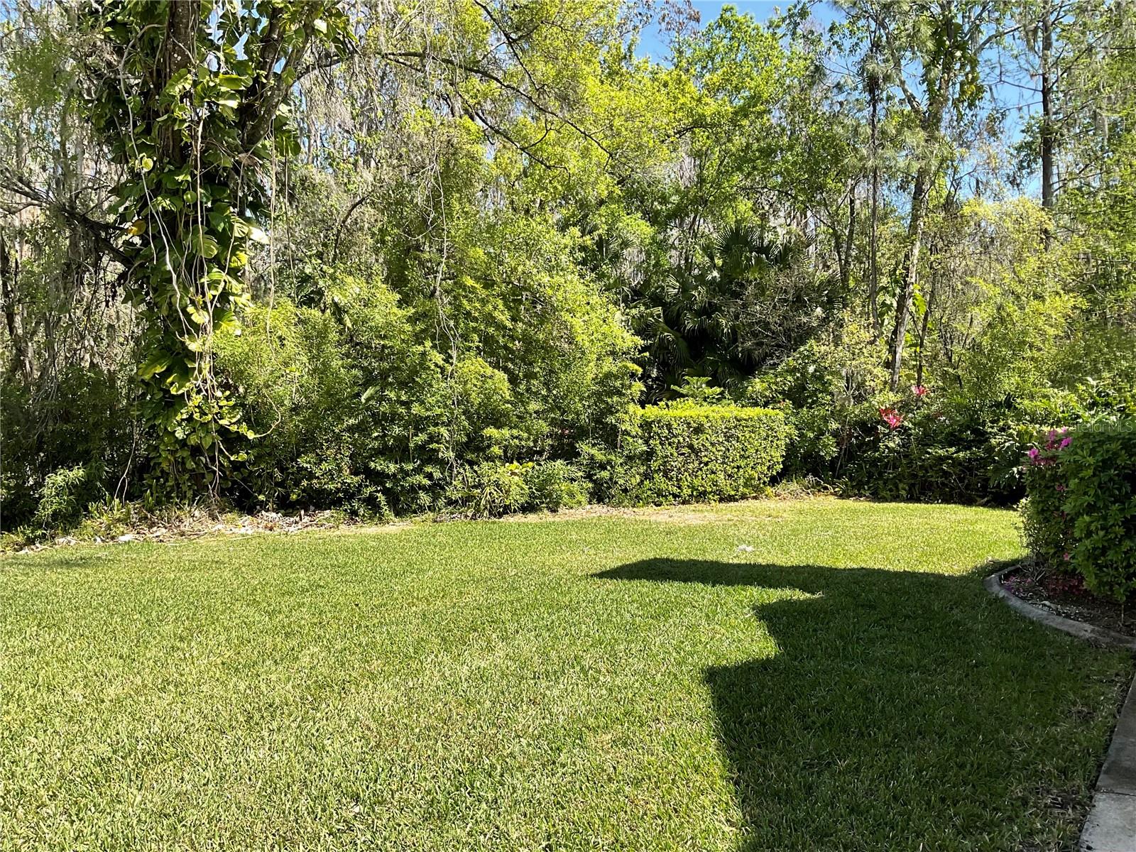 PINE GROVE CONDO AT BLOO - Residential