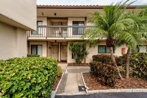 Photo of 6219 Palma Del Mar Boulevard S #114, St Petersburg, FL 33715 (MLS # TB8427382)