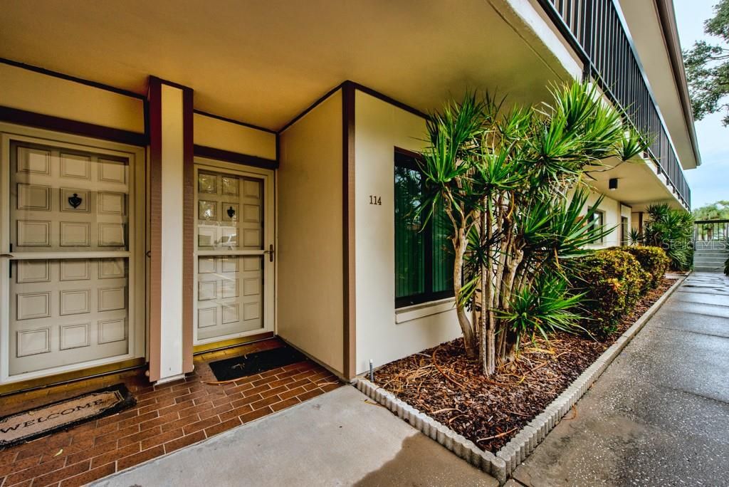 Photo of 6219 Palma Del Mar Boulevard S #114, St Petersburg, FL 33715 (MLS # TB8427382)