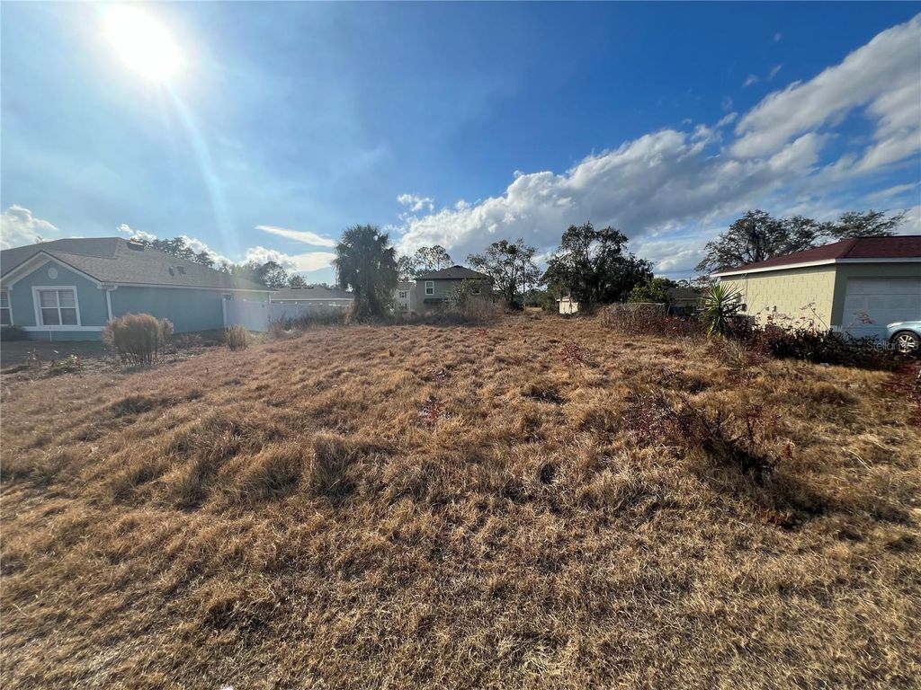 Photo of 1608 Redfin Drive, Kissimmee, FL 34759 (MLS # S5142337)