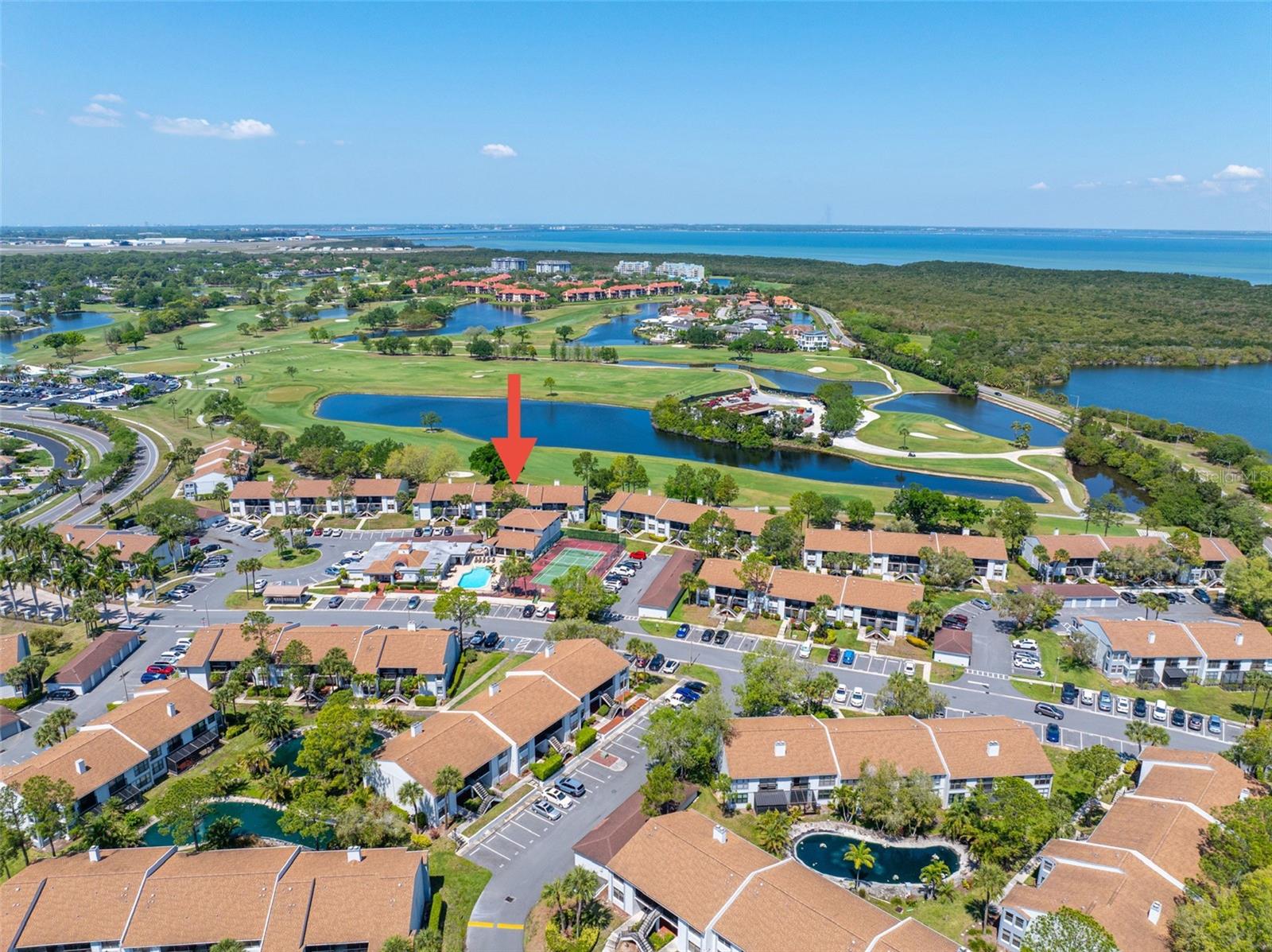 CLUB AT FEATHER SOUND THE CONDO - Residential