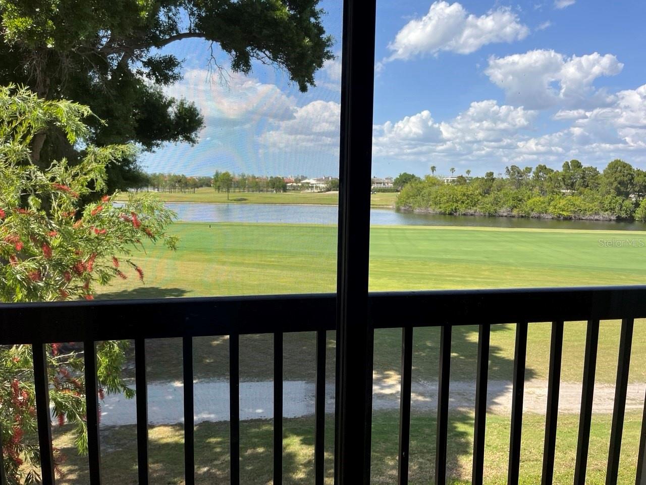 CLUB AT FEATHER SOUND THE CONDO - Residential