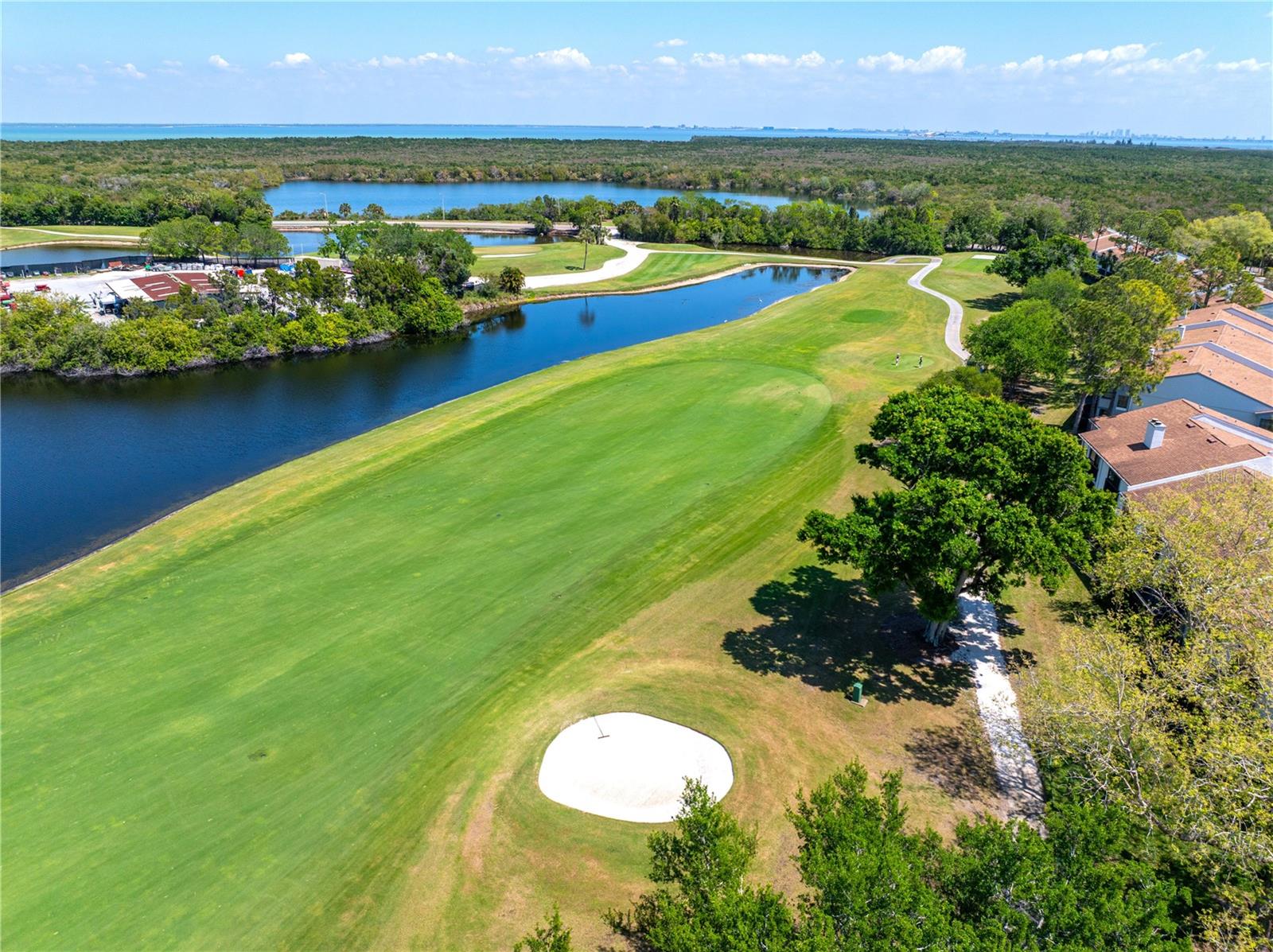 CLUB AT FEATHER SOUND THE CONDO - Residential