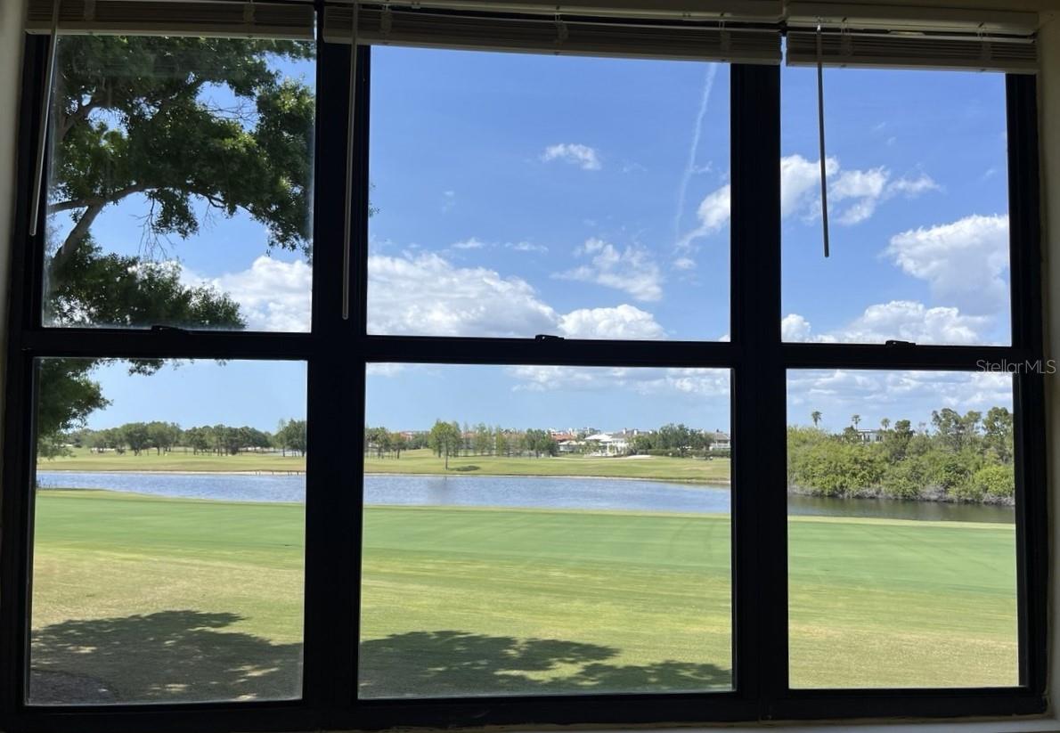 CLUB AT FEATHER SOUND THE CONDO - Residential