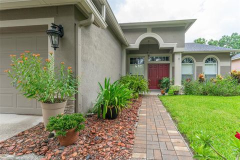 A home in VALRICO