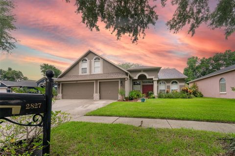 A home in VALRICO