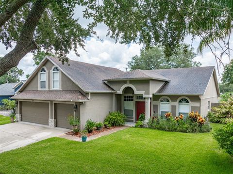 A home in VALRICO