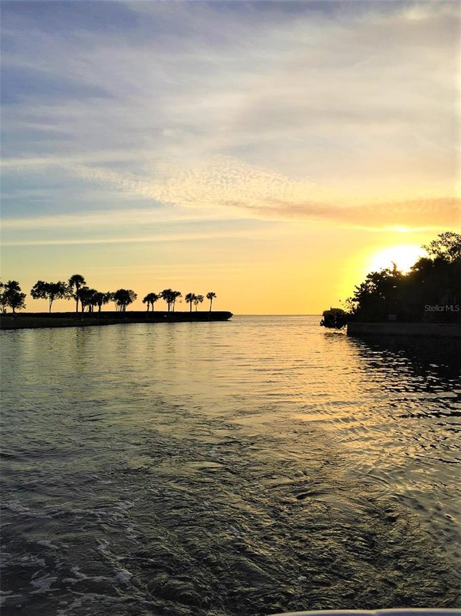 KING TARPON CONDO - Residential