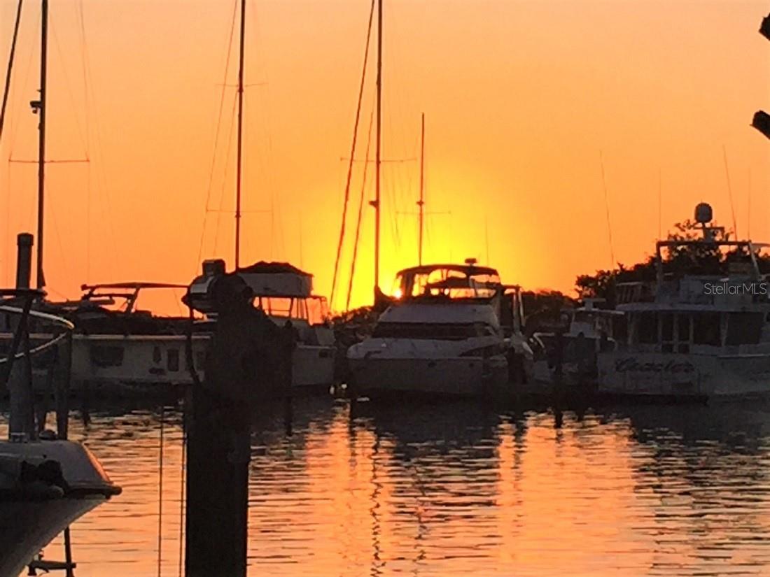 KING TARPON CONDO - Residential