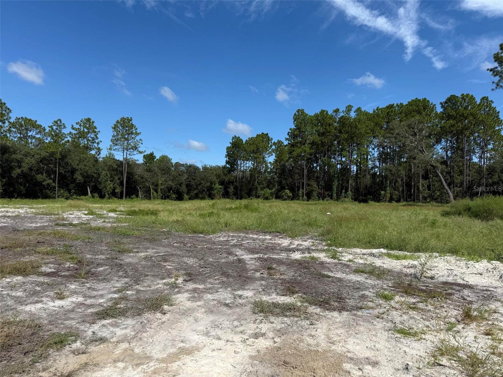 MARION OAKS RANCHES - Land