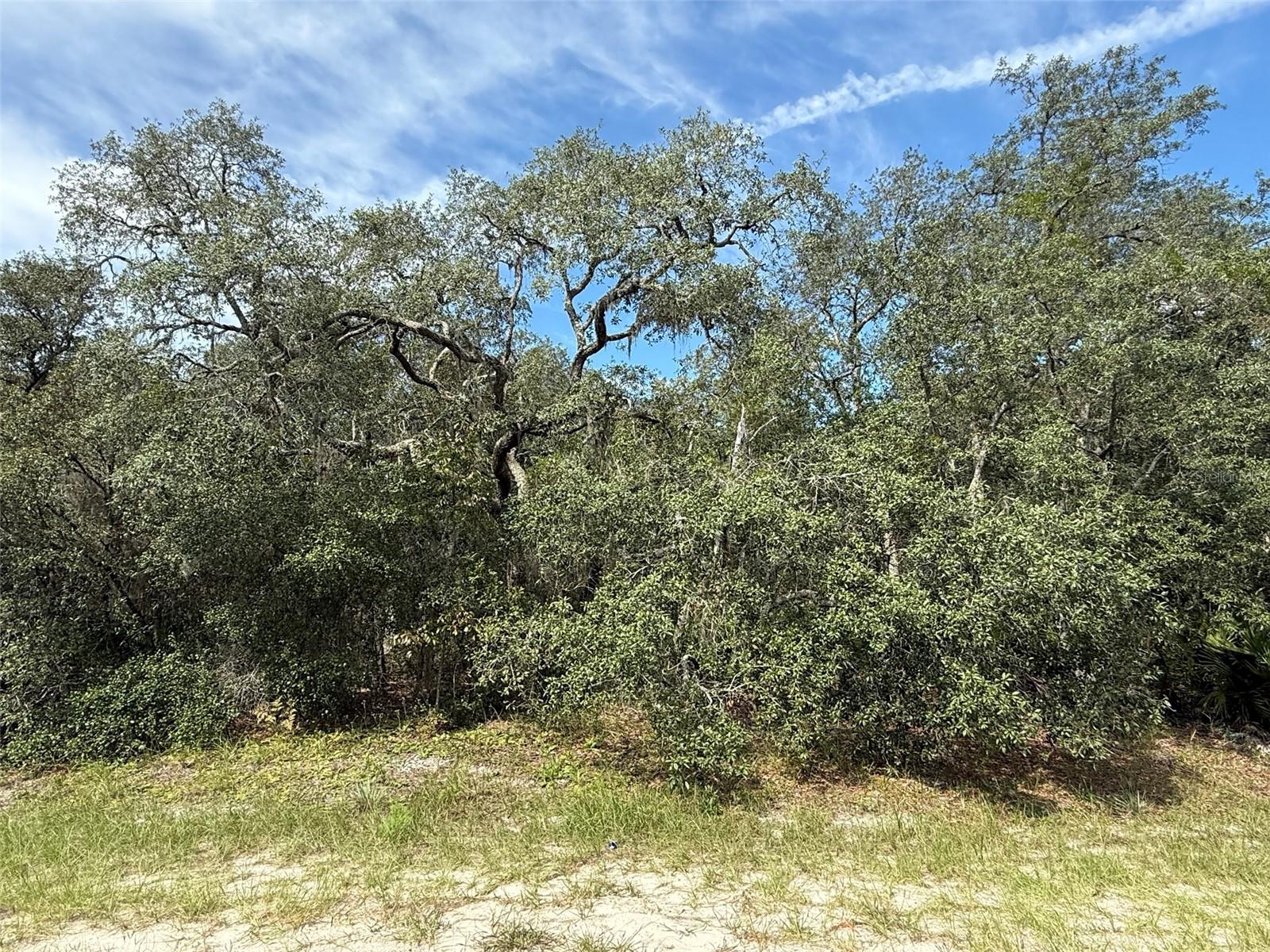 MARION OAKS RANCHES - Land