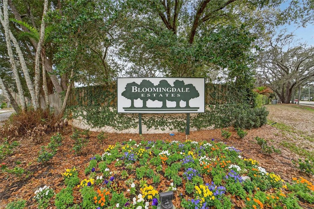 Photo of 206 Bayfield Drive, Brandon, FL 33511 (MLS # TB8481284)