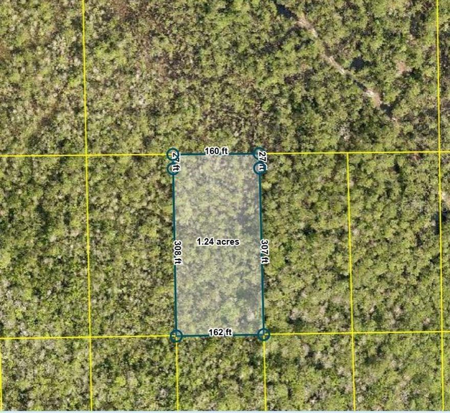 Discover the perfect opportunity to own 1.25 acres of vacant land in the peaceful and growing area of DeLand, FL. This unimproved parcel offers a blank canvas for your vision—whether you’re looking to build your dream home, invest for the future, or create a private retreat.

This property provides a quiet, rural charm with plenty of space to design and develop. You’ll enjoy the flexibility to bring your ideas to life in a serene setting surrounded by nature.

This property size and location makes it an ideal choice for homeowners and investors alike.

Don’t miss your chance to secure a piece of land in a steadily developing area with endless potential!
Buyers are encouraged to consult environmental and building regulations to explore the full potential of this unique proprety.