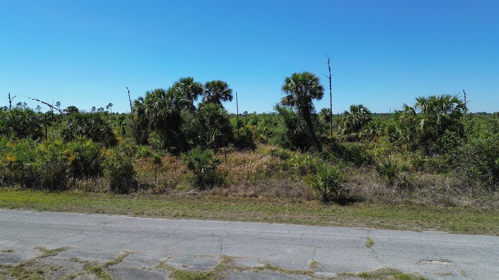 PORT CHARLOTTE SUB 46 - Land