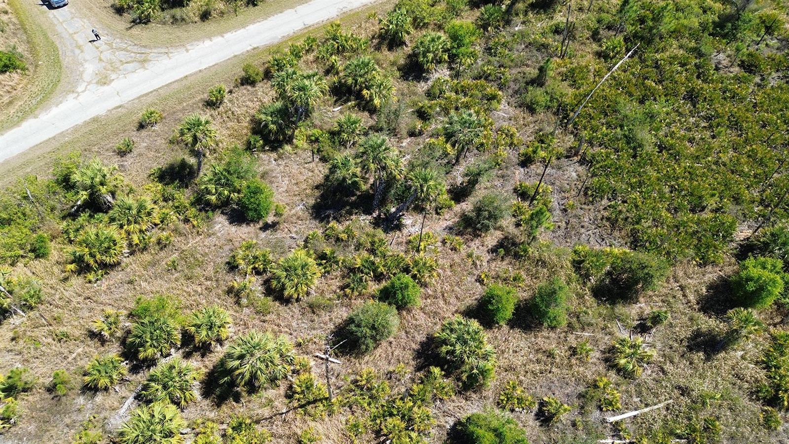 PORT CHARLOTTE SUB 46 - Land