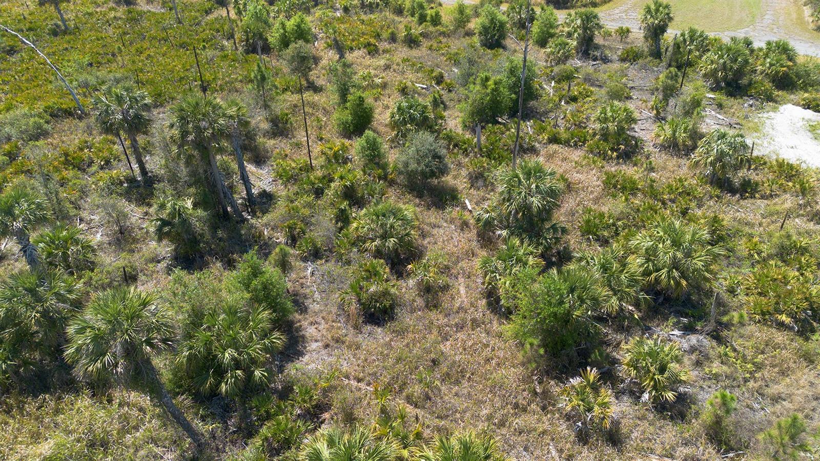 PORT CHARLOTTE SUB 46 - Land