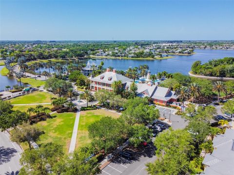 A home in APOLLO BEACH