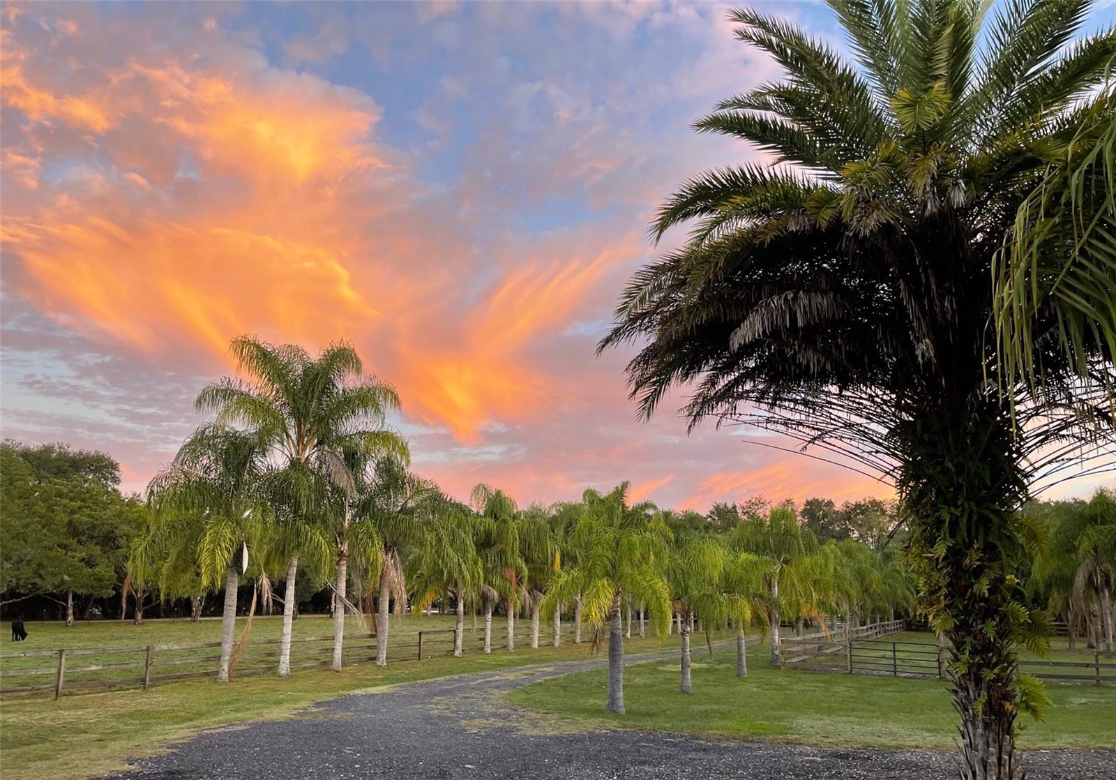 PALM HAMMOCK - Residential