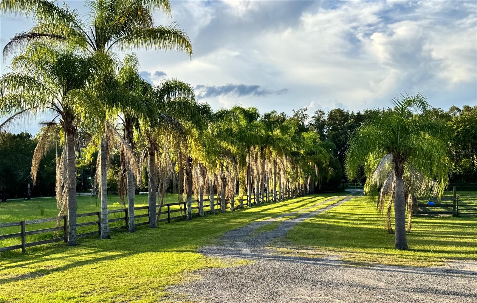 PALM HAMMOCK - Residential