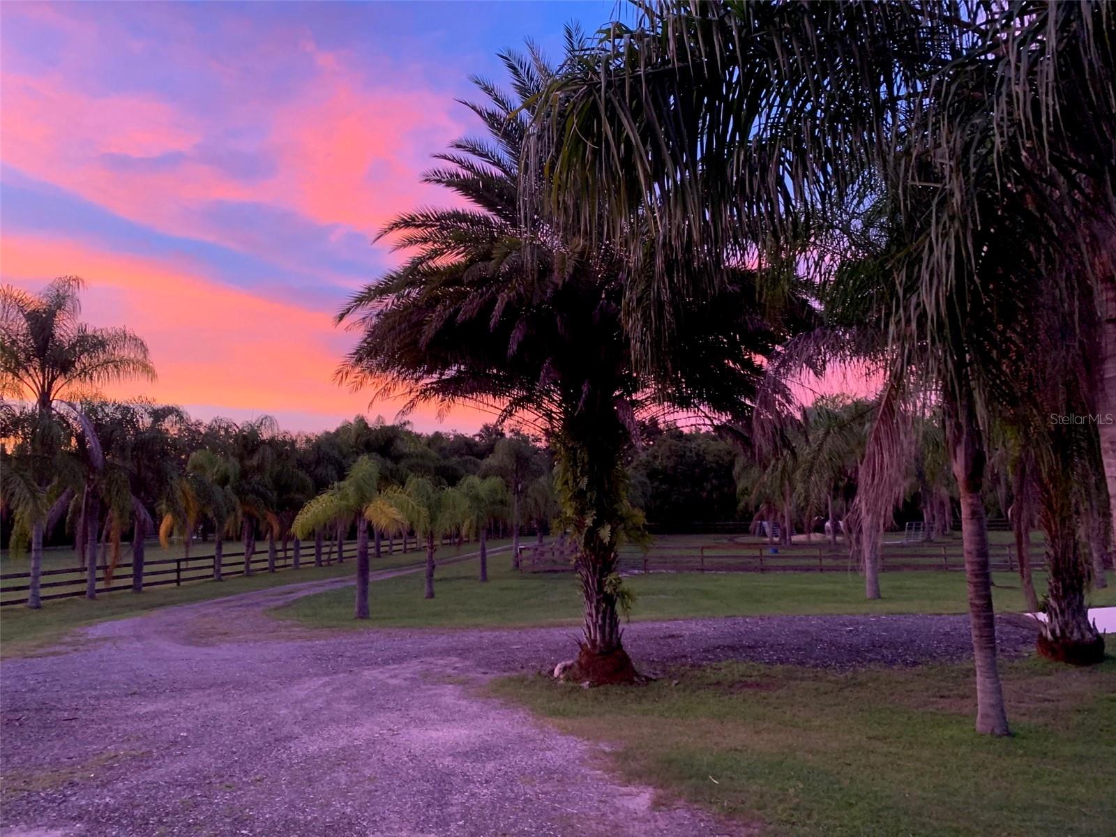 PALM HAMMOCK - Residential