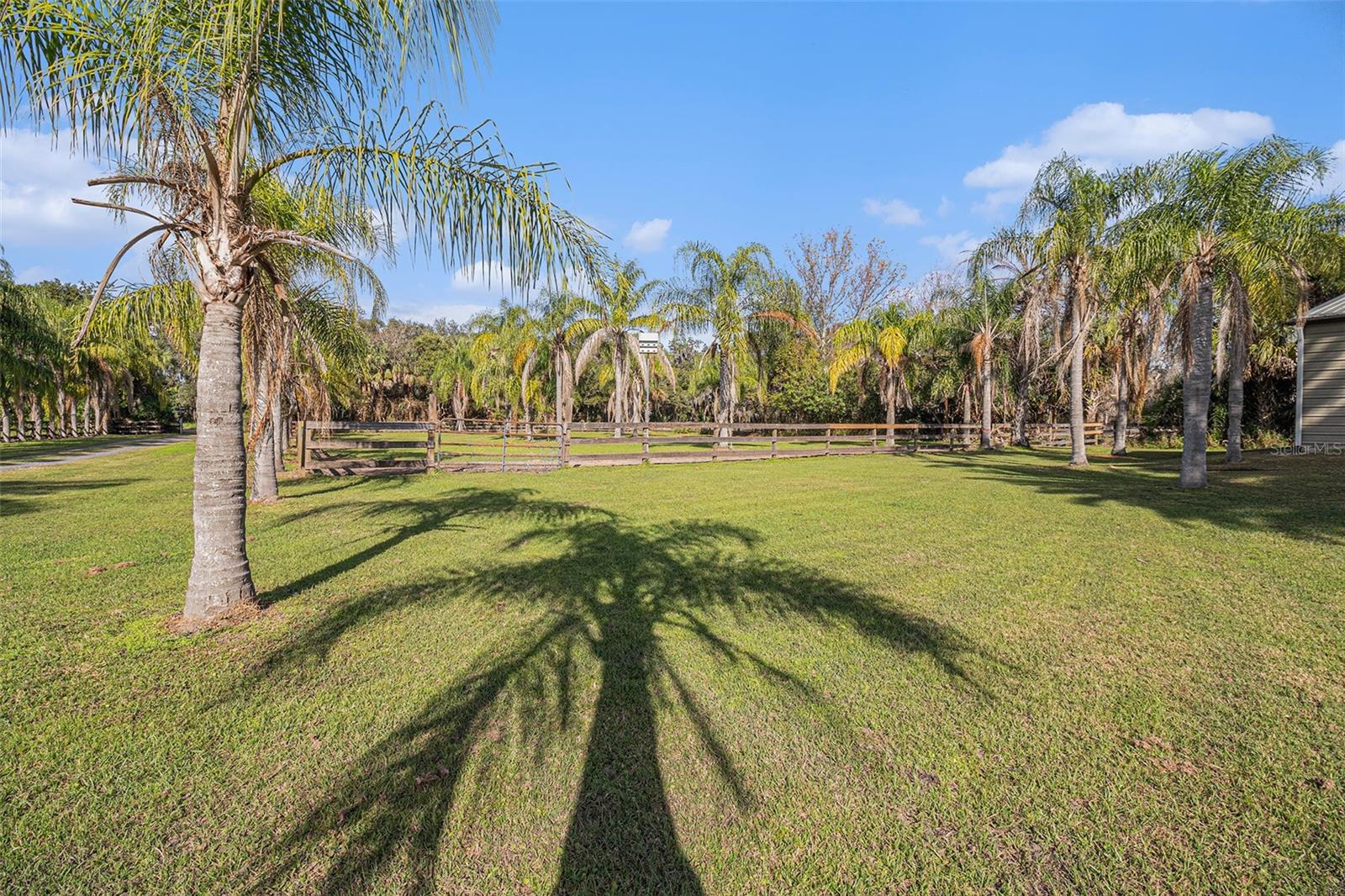 PALM HAMMOCK - Residential