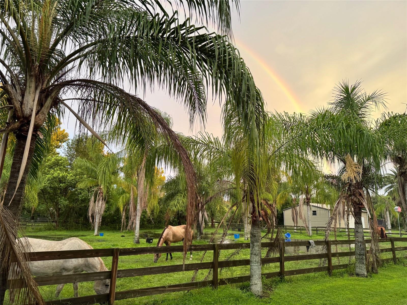 PALM HAMMOCK - Residential