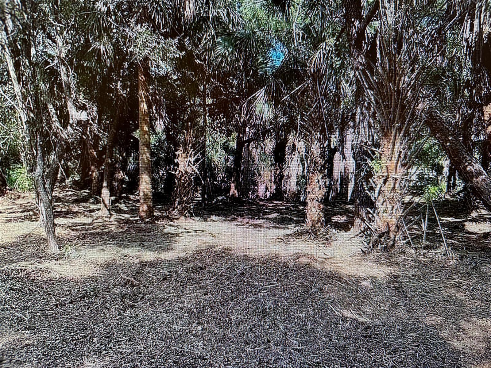 296 HINTON STREET, PORT CHARLOTTE, FL, 33954 3 296 HINTON STREET