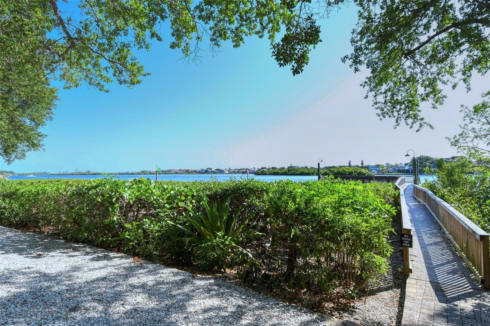 PEPPERTREE BAY IV - Residential