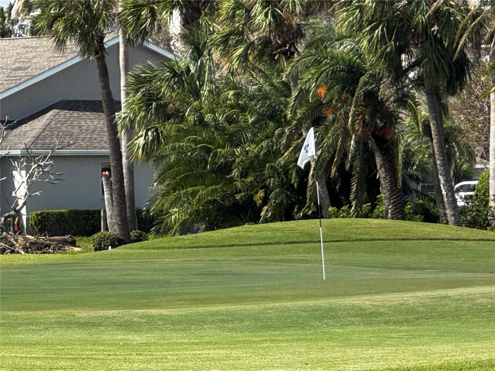 THE TERRA CEIA CLUB - Residential Lease