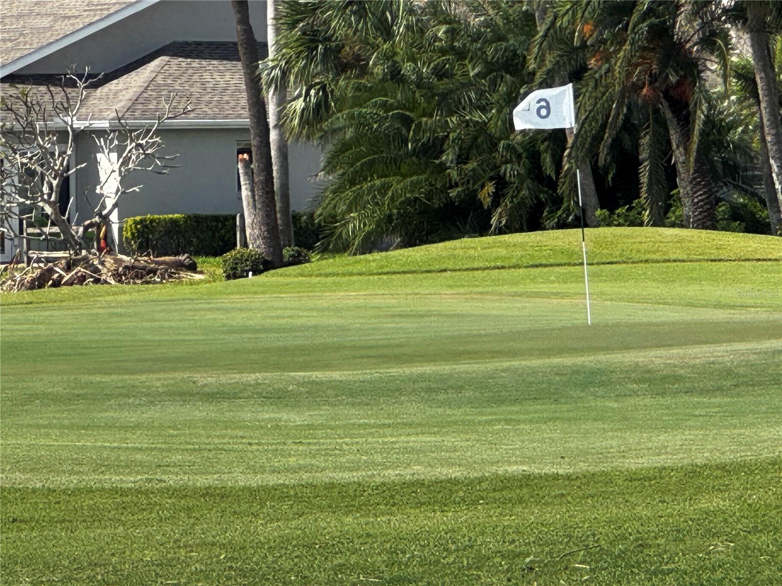 THE TERRA CEIA CLUB - Residential Lease