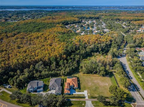 4390 TARPON LAKE BOULEVARD PALM HARBOR FL 34685