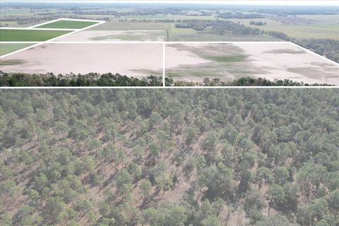 Tiny photo for 190 NW 225th Avenue, Dunnellon, FL 34431 (MLS # G5094195)