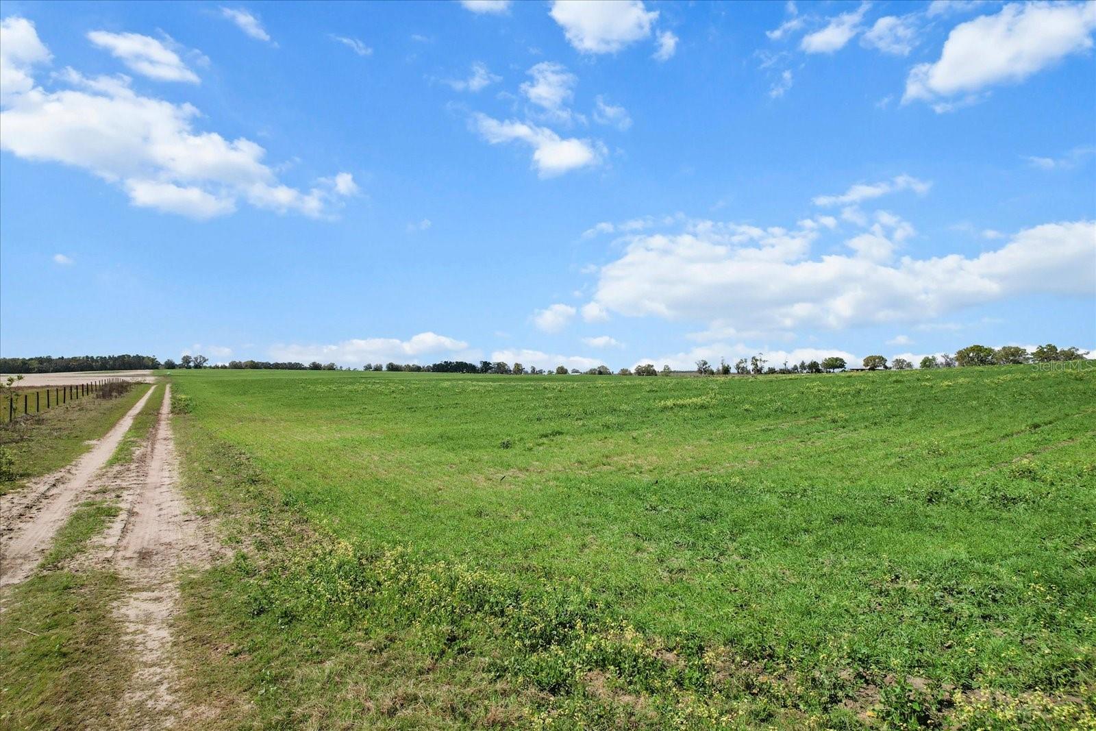 (190 AC-see addt'l PID's) NW 225TH AVENUE