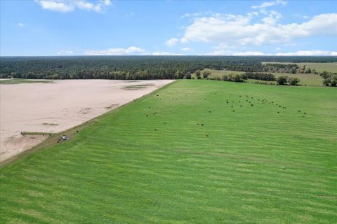 Tiny photo for 190 NW 225th Avenue, Dunnellon, FL 34431 (MLS # G5094195)