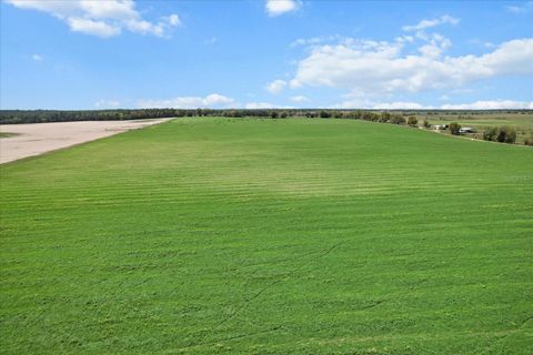 Tiny photo for 190 NW 225th Avenue, Dunnellon, FL 34431 (MLS # G5094195)