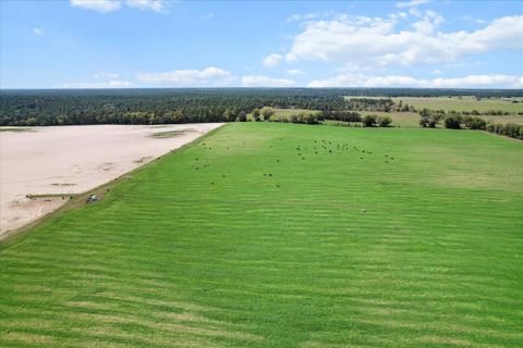 Tiny photo for 190 NW 225th Avenue, Dunnellon, FL 34431 (MLS # G5094195)