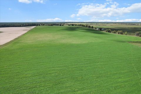 Tiny photo for 190 NW 225th Avenue, Dunnellon, FL 34431 (MLS # G5094195)